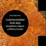 Presentación del Libro: La plurinacionalidad desde abajo